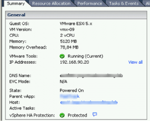VMware Tools ESXi Virtualizado
